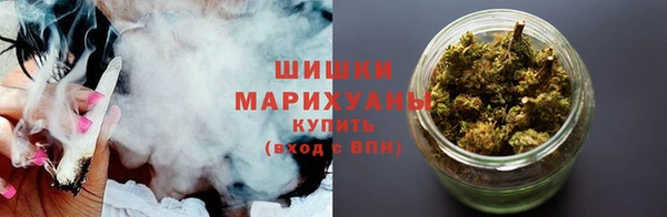 прущие грибы Лагань