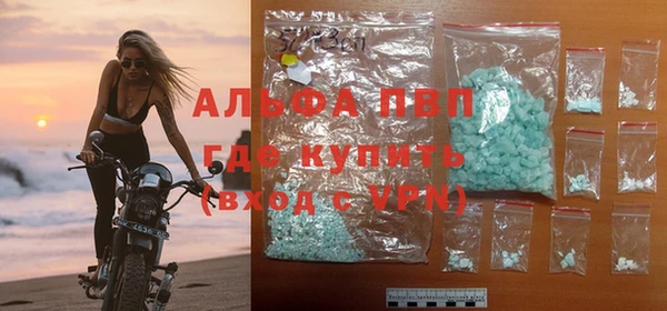 индика Ижевск