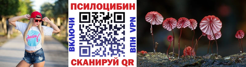 Купить  Канаш  Галлюциногенные грибы Psilocybine cubensis 