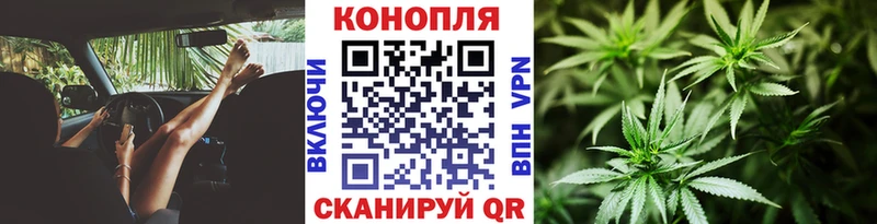 Конопля конопля  Купить закладки  Канаш 